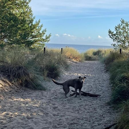 Reet Am Strand Mit Hund Karlshagen 外观 照片