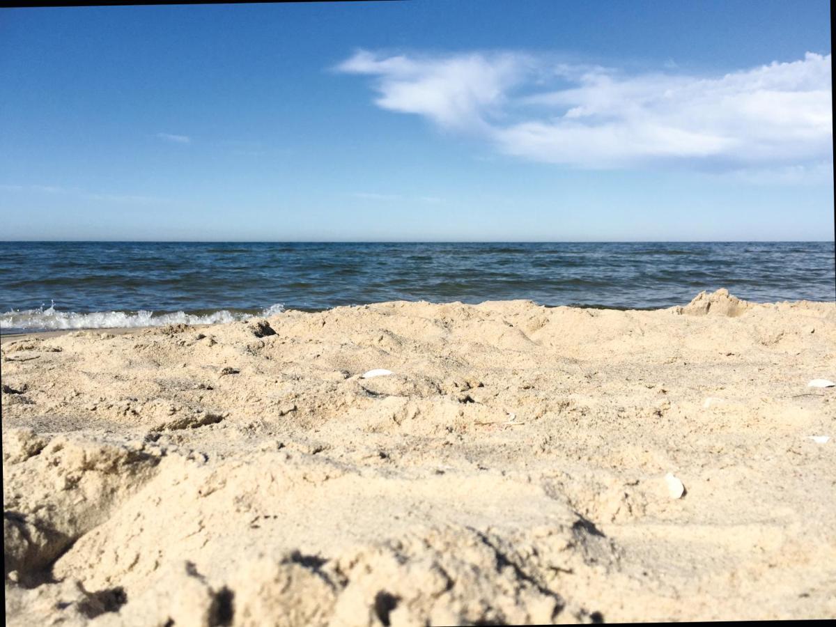 Reet Am Strand Mit Hund Karlshagen 外观 照片