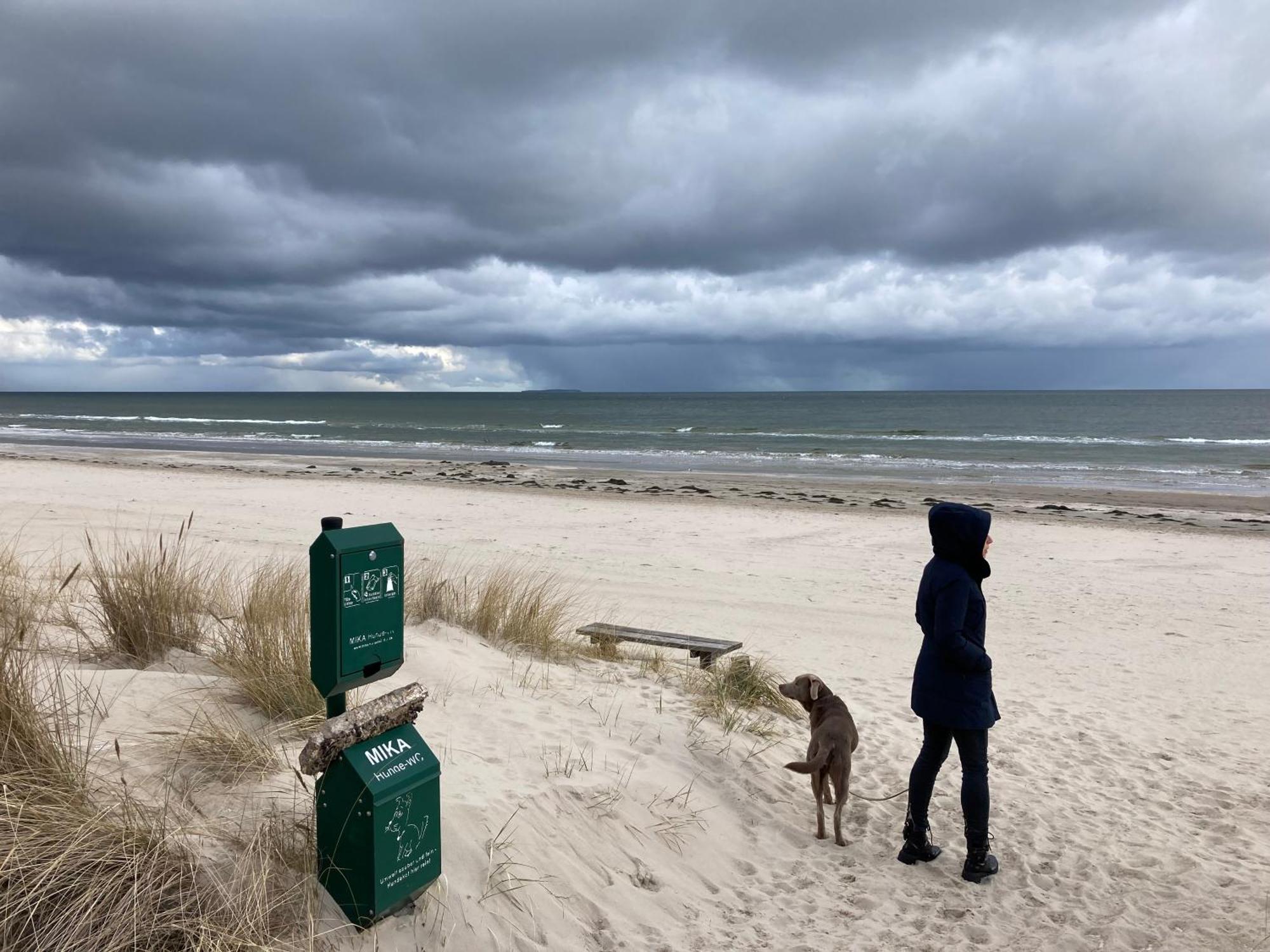 Reet Am Strand Mit Hund Karlshagen 外观 照片